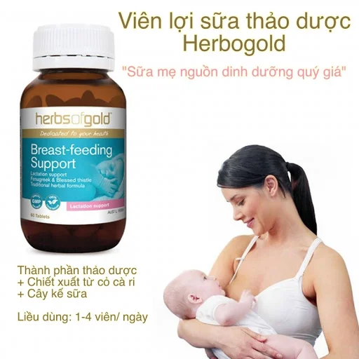 Mỗi ngày bạn chỉ cần dùng 1 2 viên Herbs of Gold Breast feeding Support là đủ 1