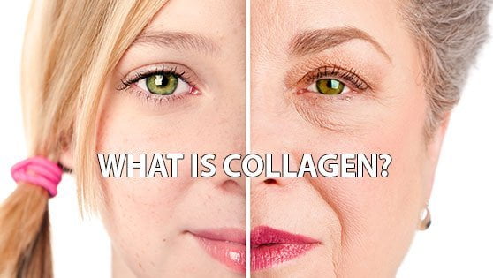 WHAT IS COLLAGEN