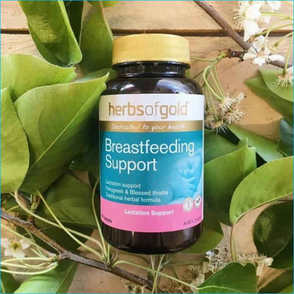 vien uong loi sua herbs of gold breastfeeding support