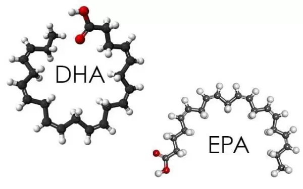 DHA và EPA là những dưỡng chất rất cần thiết cho tế bào