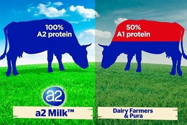 So với sữa a1 sữa tươi a2 dạng bột nguyên kem Úc mang đến cho người dùng một sức khỏe bền và sâu hơn
