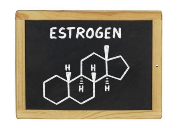 Estrogen giúp chị em có ham muốn tình dục