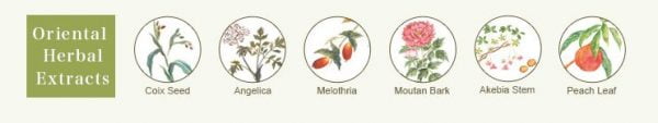 Kem chống nắng Kose có thành phần lành tính và hiệu quả của nhiều loại thảo dược quý