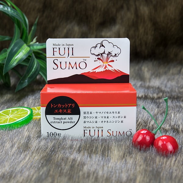 fuji sumo 3