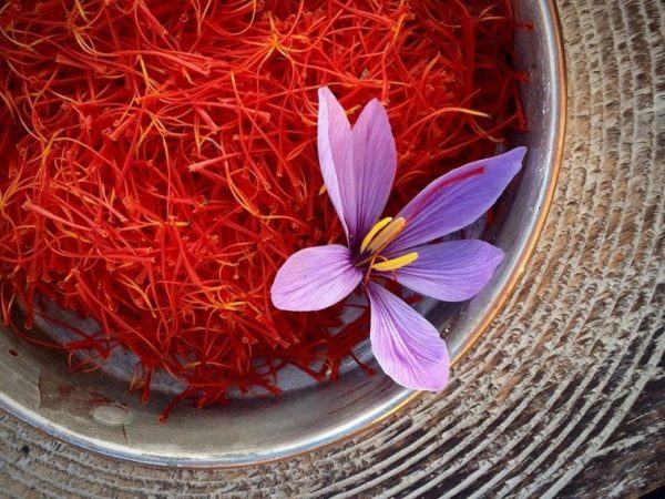 Nhụy Hoa Nghệ Tây Saffron 1
