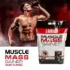 muscle mass gainer 12lbs 4