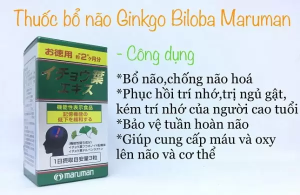 Ginkgo Biloba giúp cải thiện khả năng tuần hoàn máu và cung cấp máu não 1