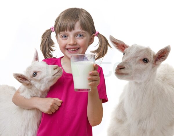 Healthy Care Kids Goats Milk 1