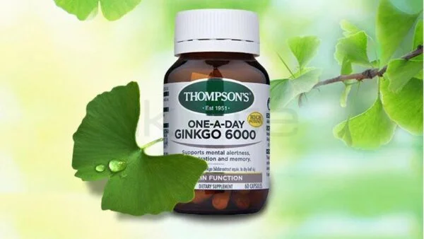 Thompsons One A Day Ginkgo