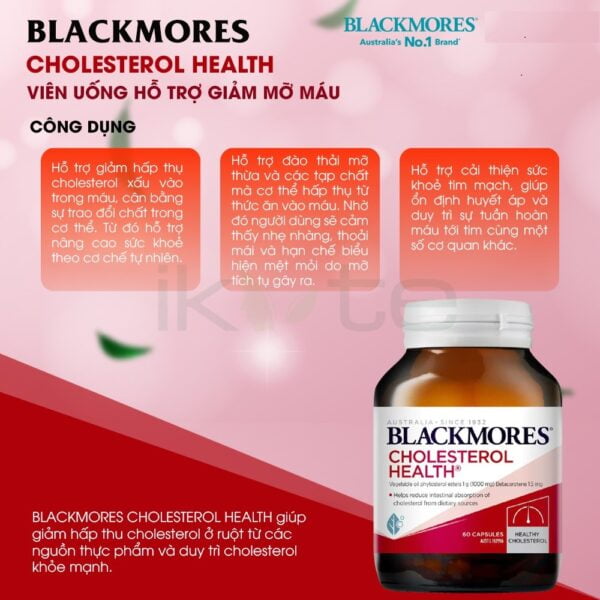blackmores cholesterol health 2 ikute.vn