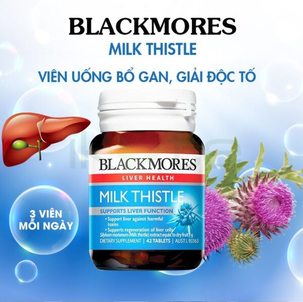 blackmores milk thistle 1 ikute.vn