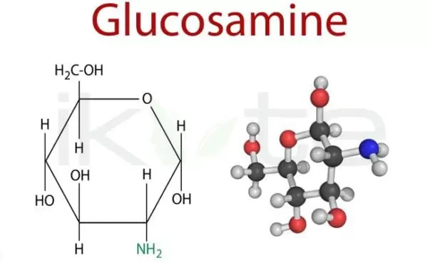Glucosamine ikute.vn ikute.vn