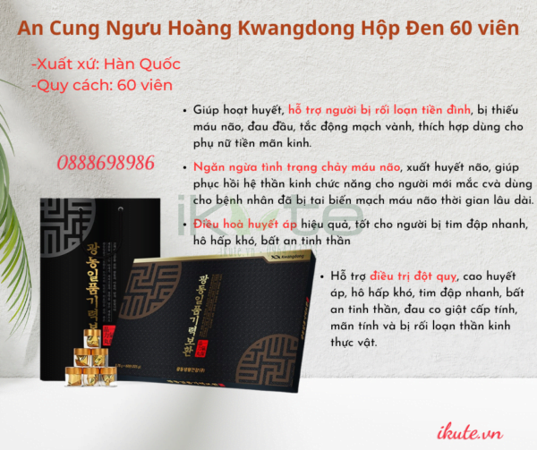 An Cung Nguu Hoang Kwangdong Hop Den 60 vien 1