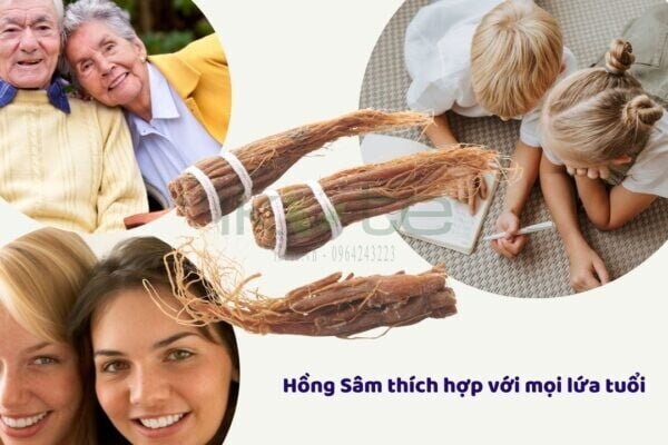 Hong Sam thich hop voi moi lua tuoi ikute.vn