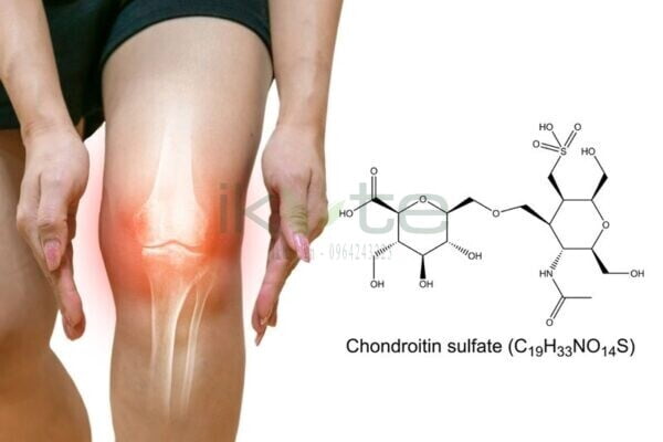 Chondroitin Sulfate ikute.vn