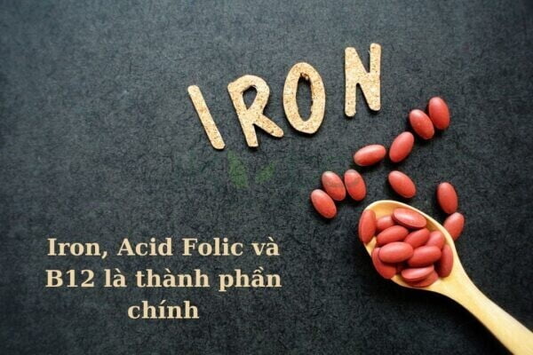 Iron Acid Folic va B12 la thanh phan chinh ikute.vn