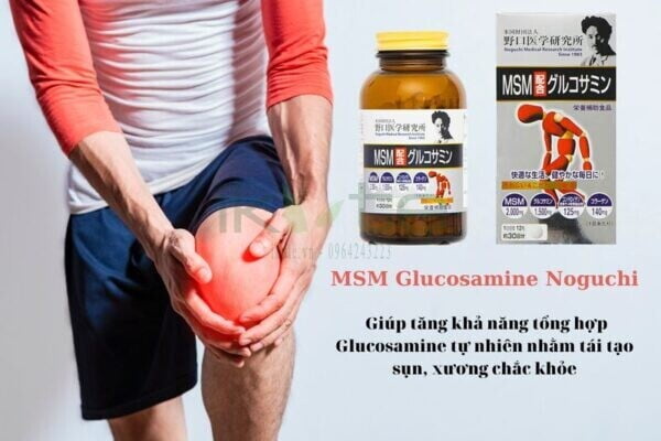 MSM Glucosamine Noguchi ikute.vn