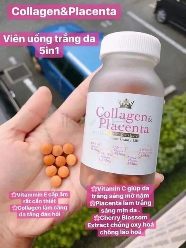 Collagen Placenta ikute.vn