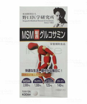 MSM Glucosamine Noguchi 1 iKute